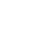 動物體內(nèi)基因遞送